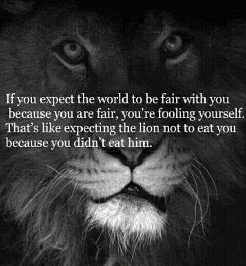 harsh reality