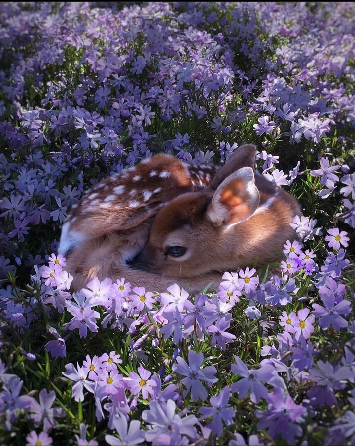 Beautiful nature
