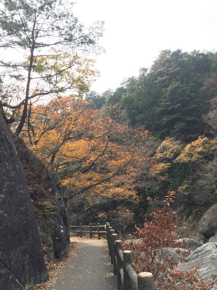 日本