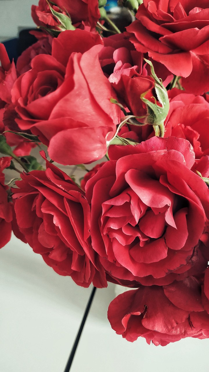 flovers
