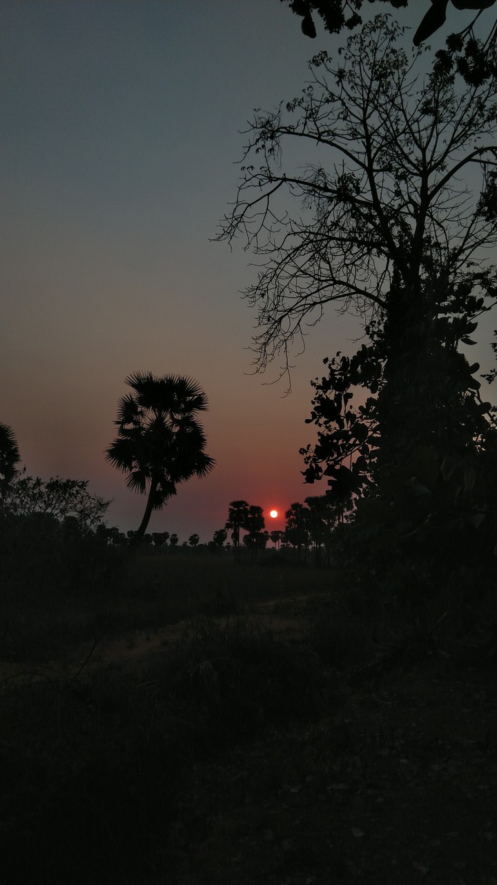 Sun set