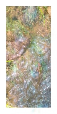 this is originally sounds of the water flow