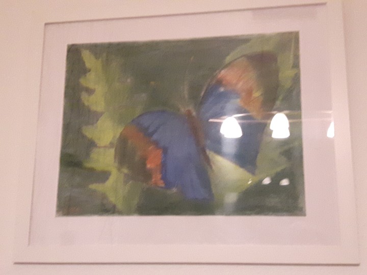 Schmetterling