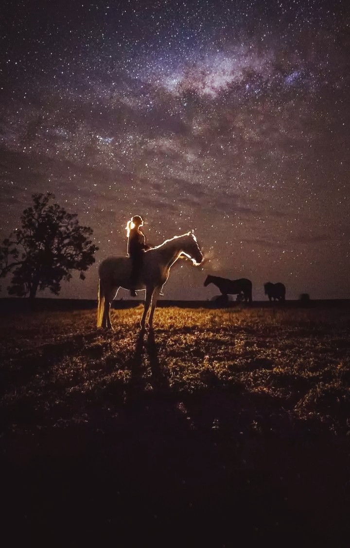 horse