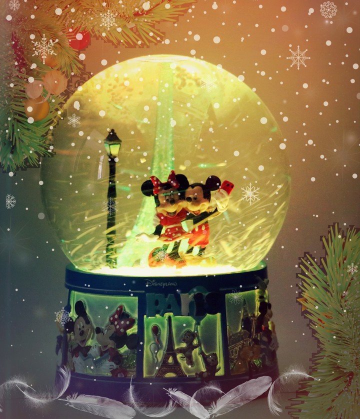 Disney Land
