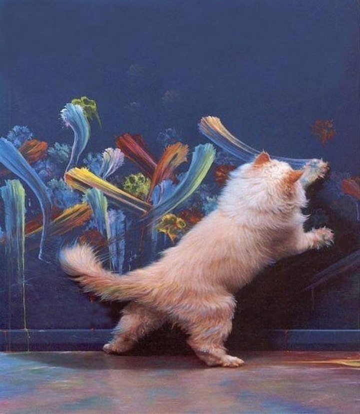 Кот