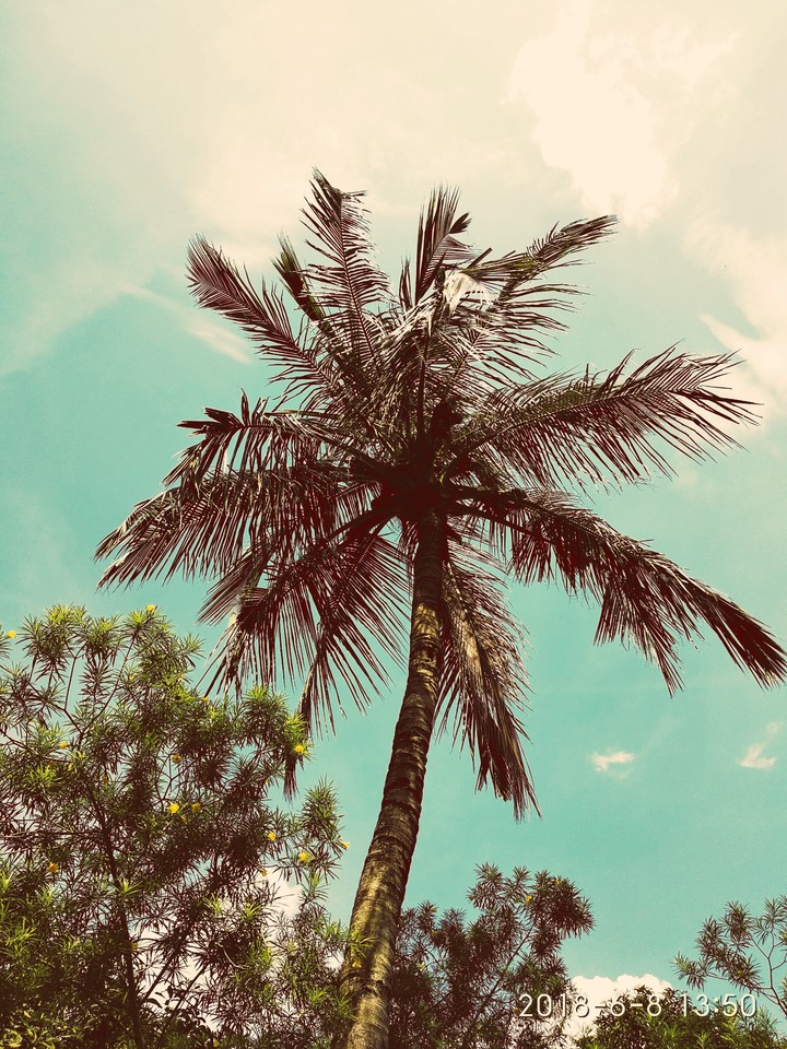 Beauty of nature