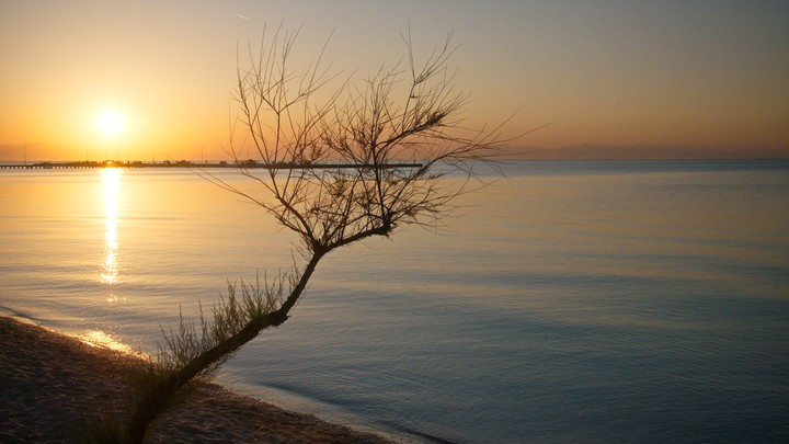 Peace....