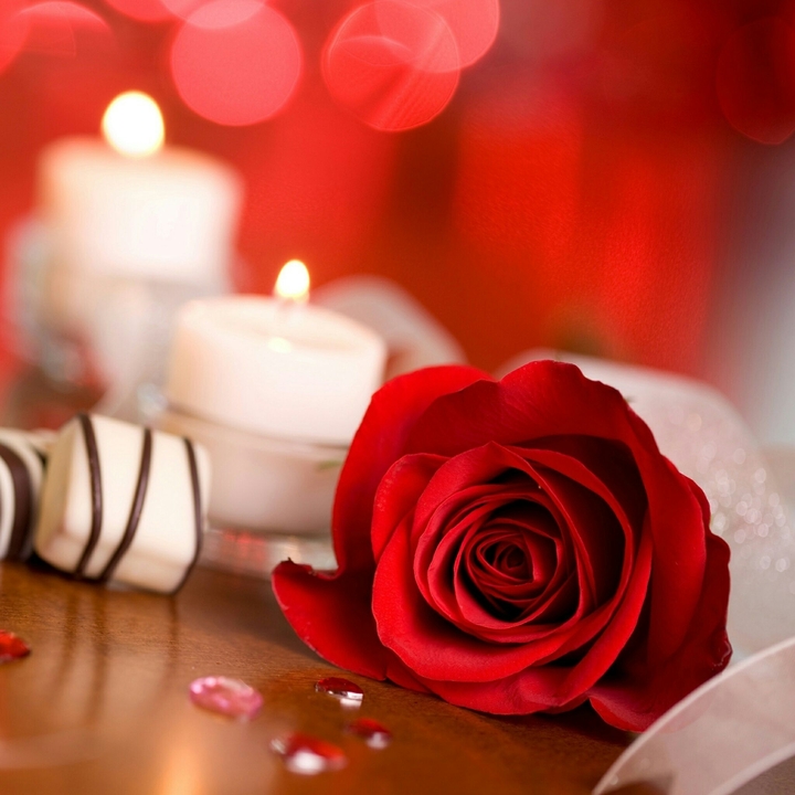 Red Rose