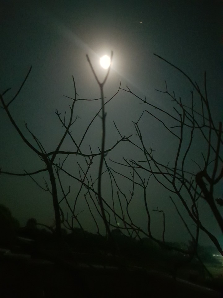 beautiful moon and jupiter planet