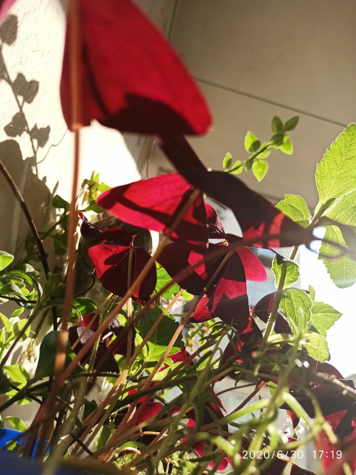 ⁦♥️⁩