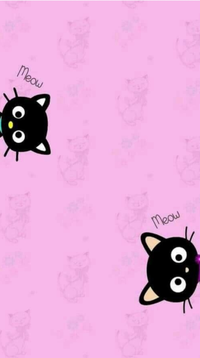 ♡♡♡
