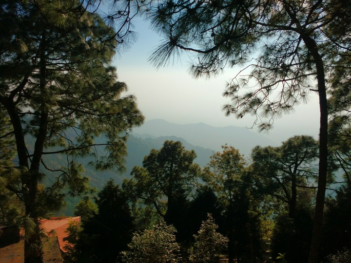 hills
