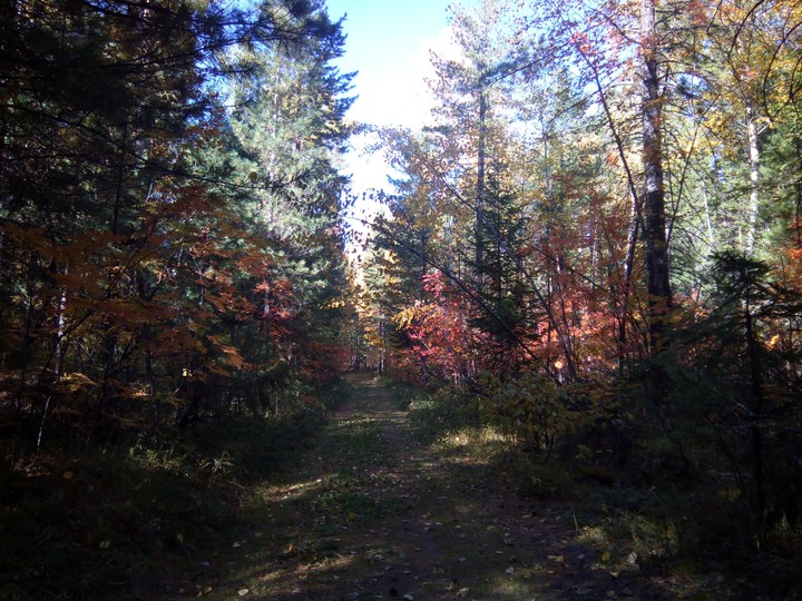 Осень