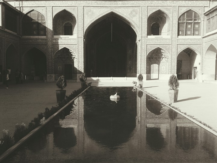 #shiraz #masque