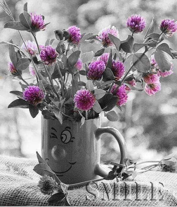 flowers