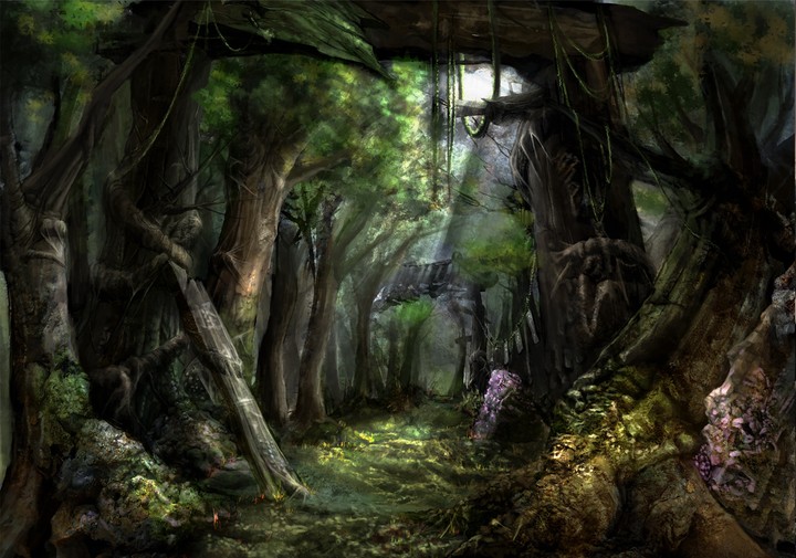Forest