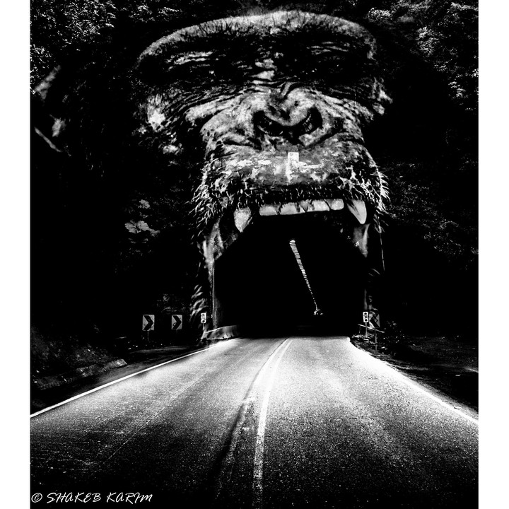 The Road to Death.