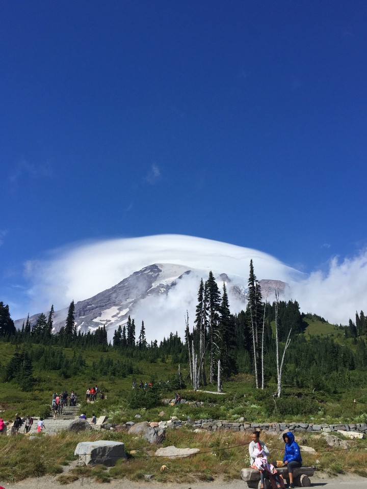 Mt. Rainier