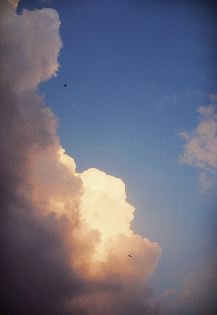 freedom.