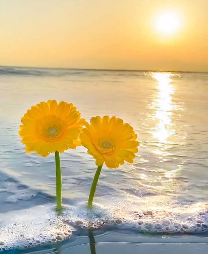beauty...