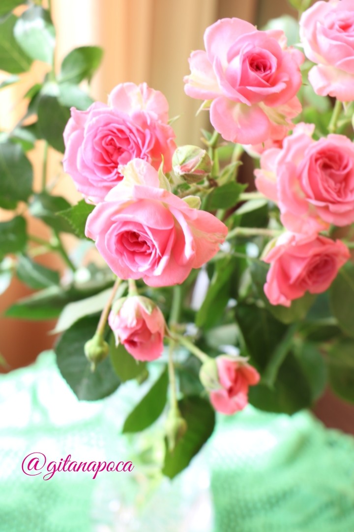 Flower love