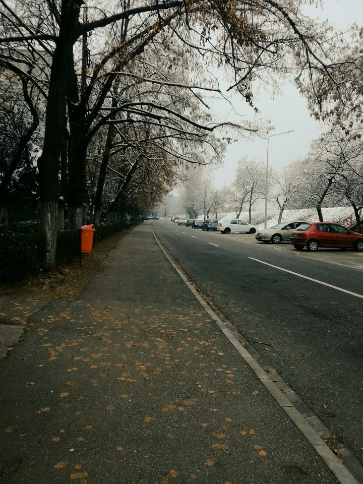 Oradea❤