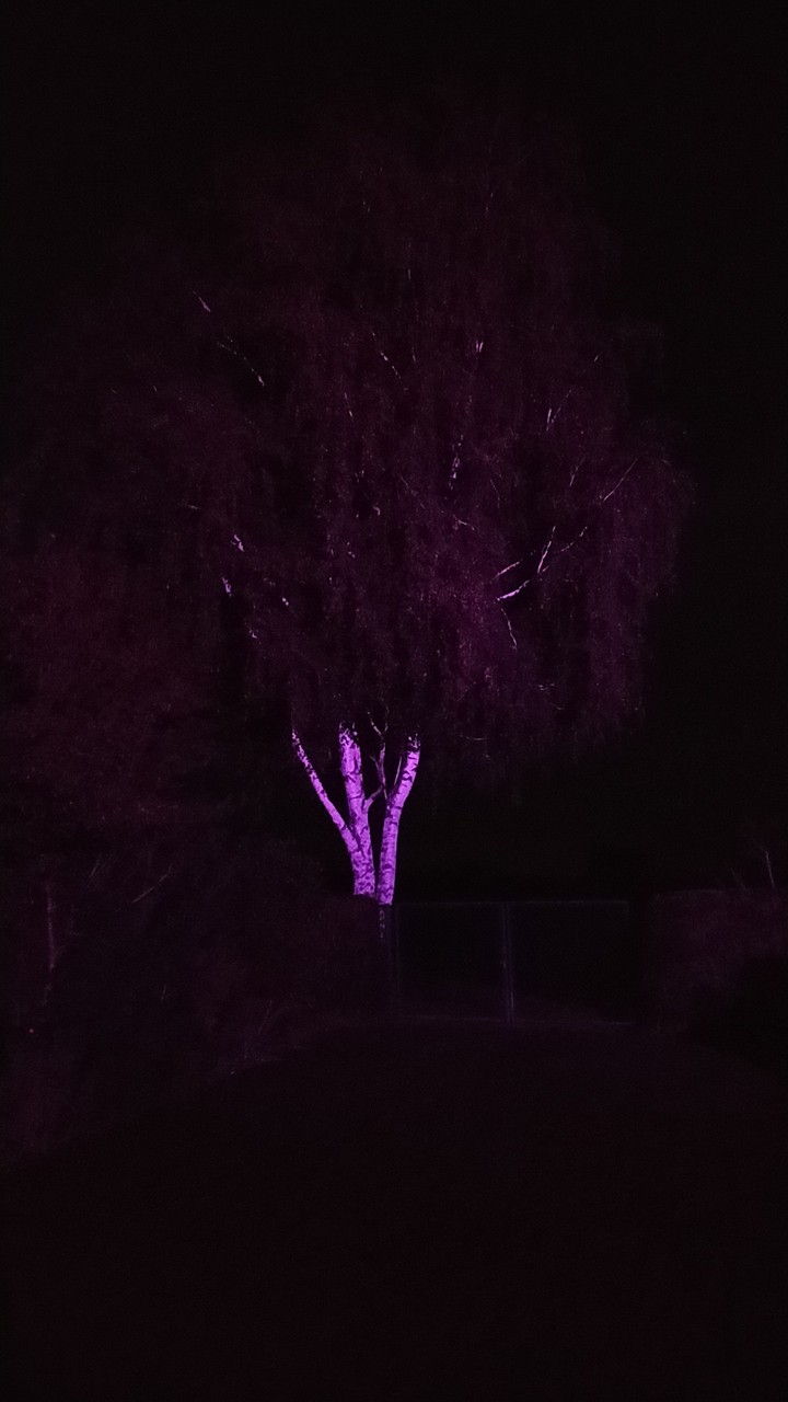 into the dark