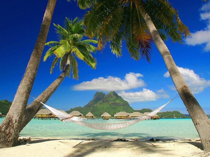 Caribbean Dreams