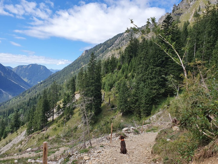 Berge sind nicht nur für Menschen schön