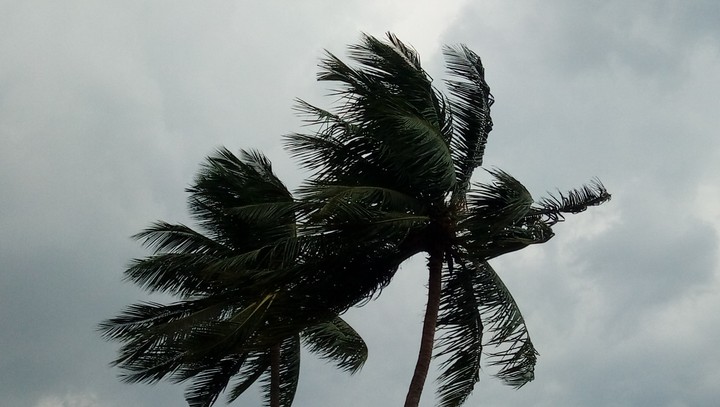 windy