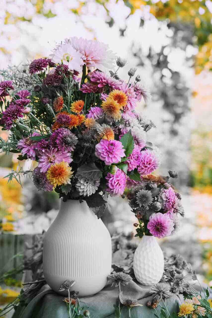 fiori ?