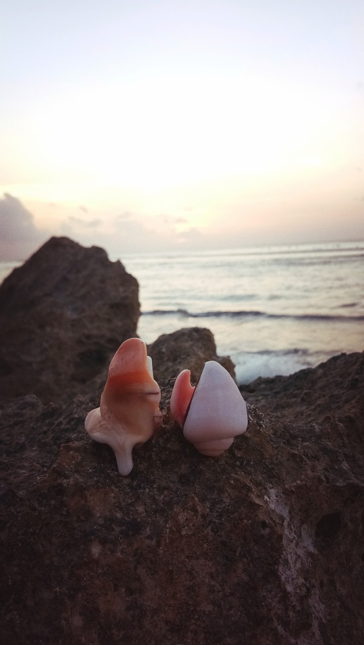 My Sea