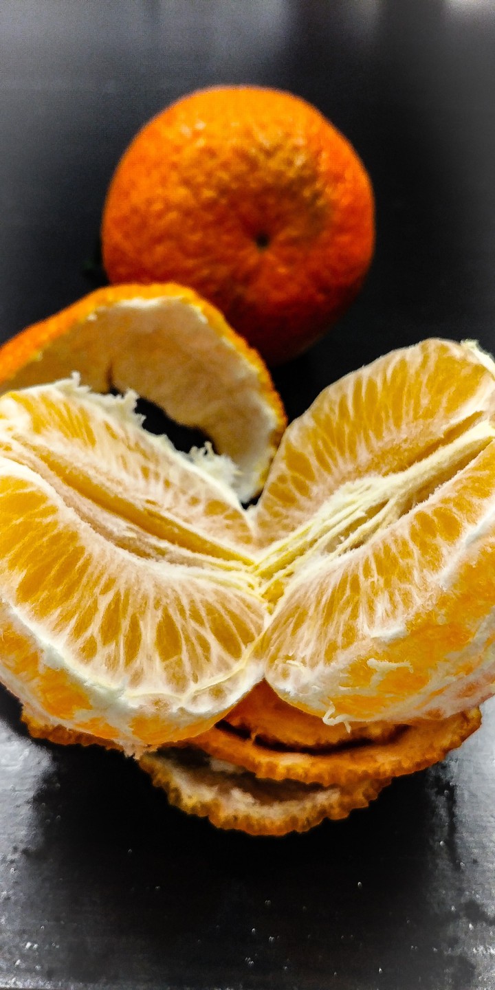 fruit