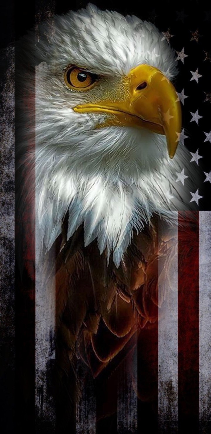 Eagle American Flag