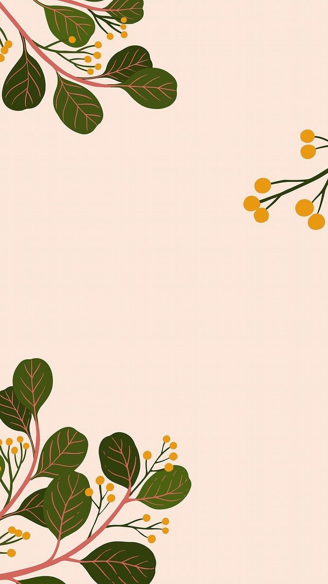 fondo