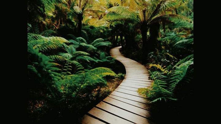 Espace nature