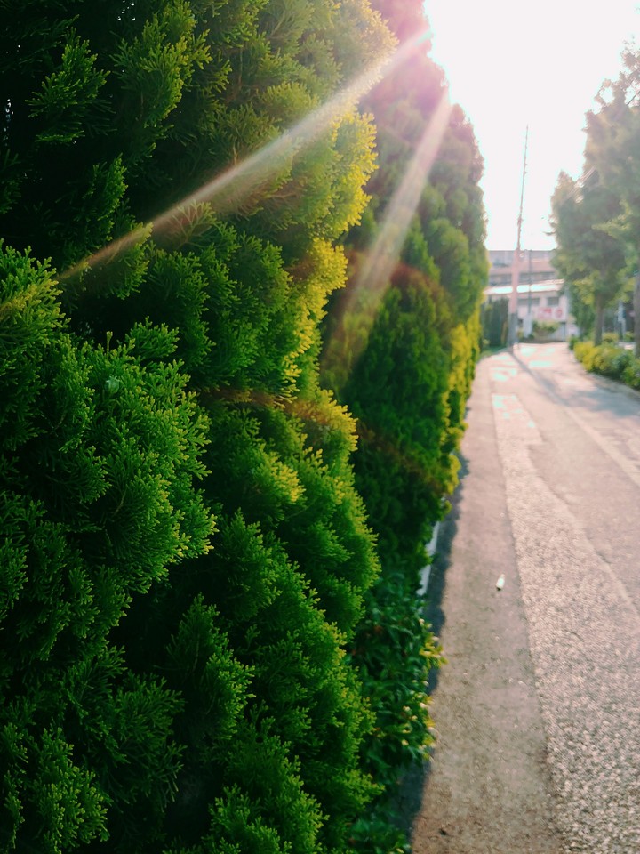 street 2