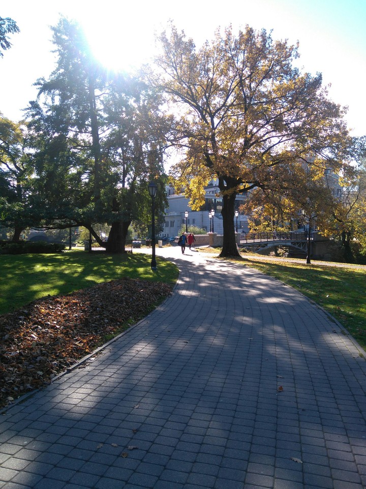 Peace.A walk.