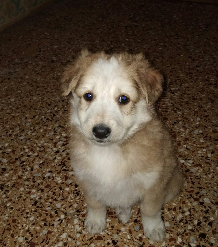 my buddy
