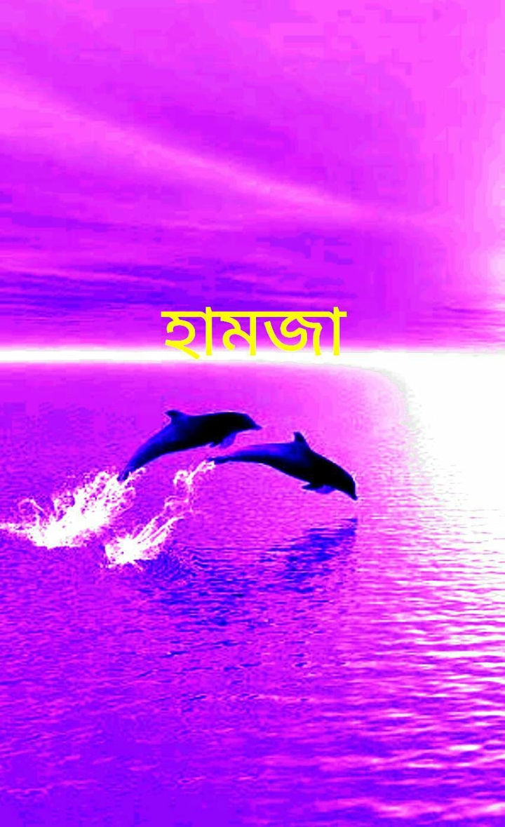 80