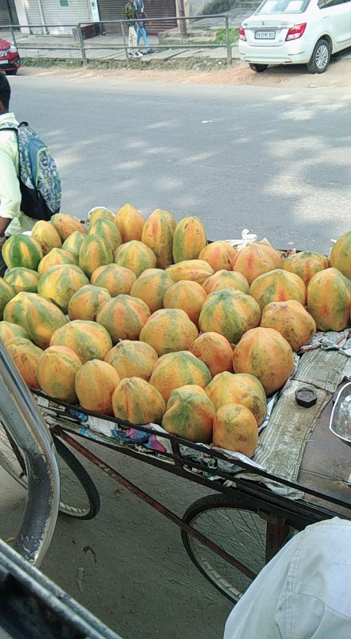 Papaya fruit