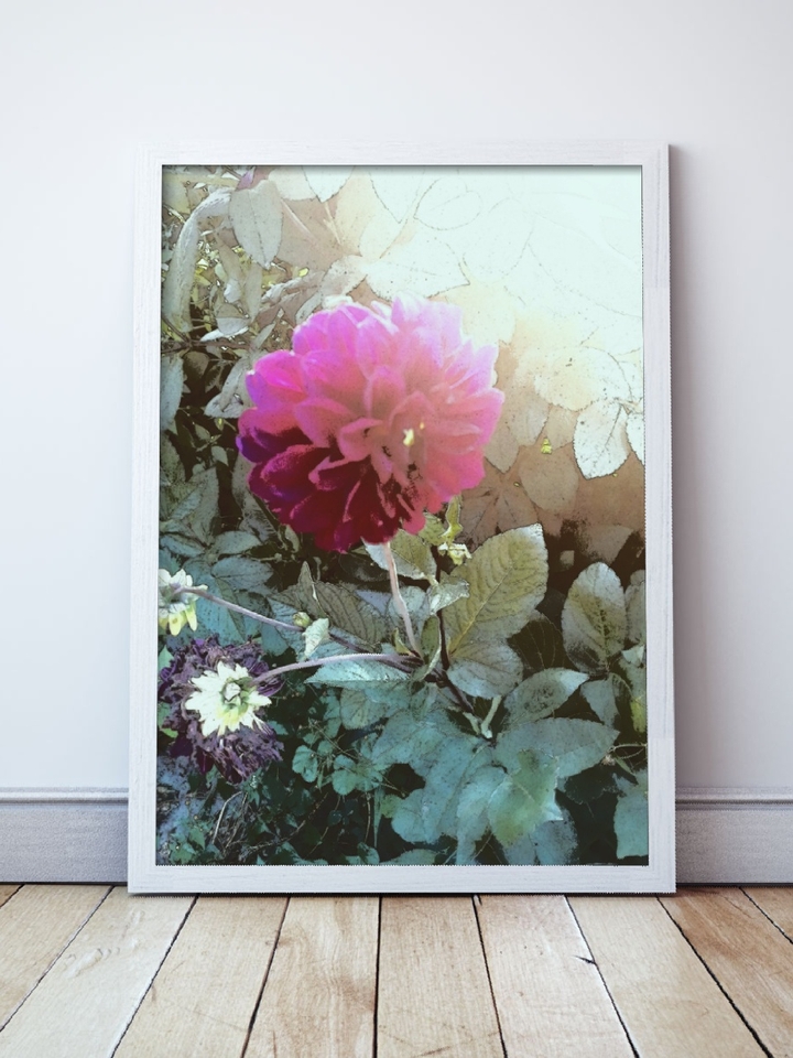 flover