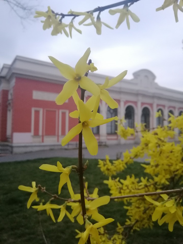 Весенняя Одесса