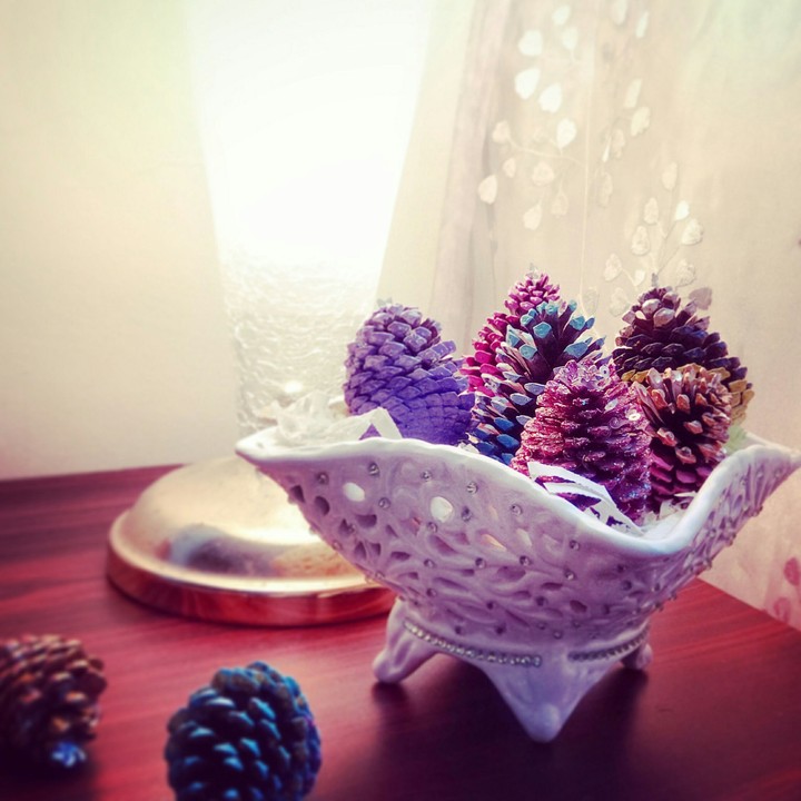 Pine Cones