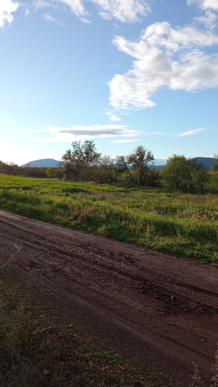 Dirt, Grass and a Childhood