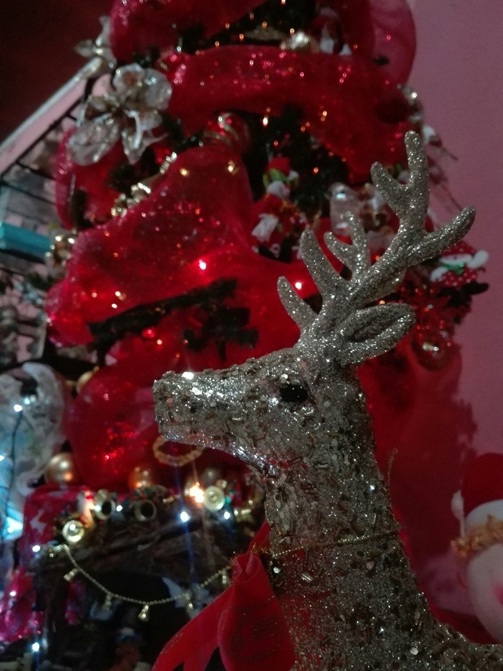 NAVIDAD