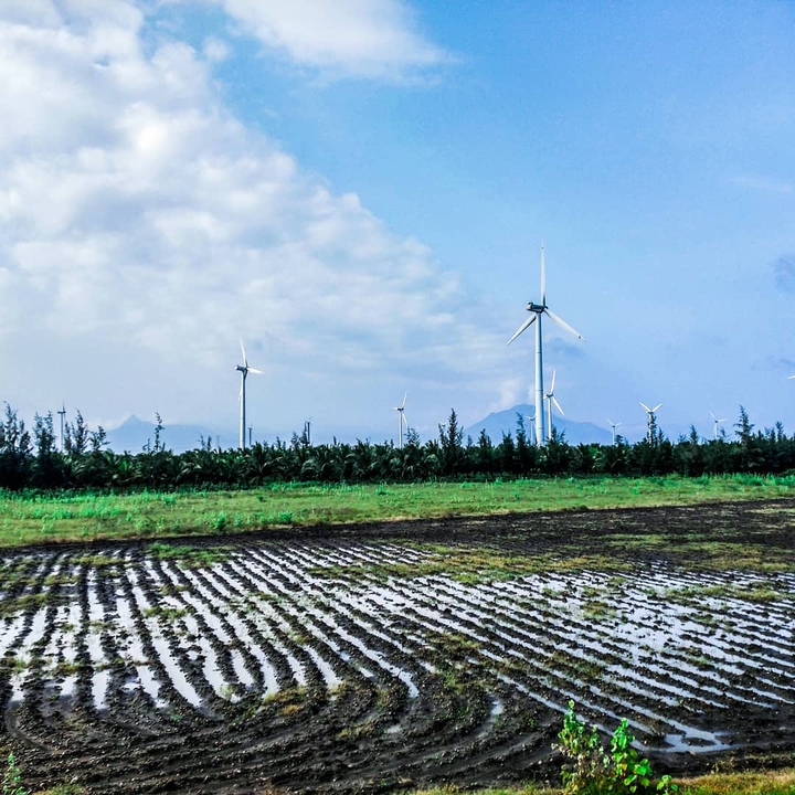 FarmLand at its Birth ?